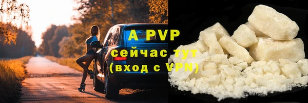 сатива Приозерск