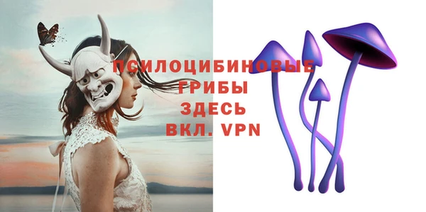 мдпв Ростов