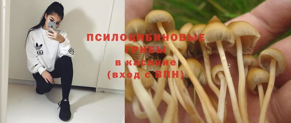 эйфоретик Россошь