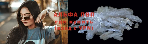 бошки Дубна