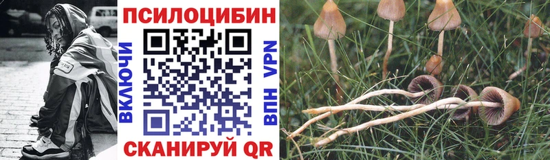 Галлюциногенные грибы прущие грибы  MEGA   Боготол  купить  цена 